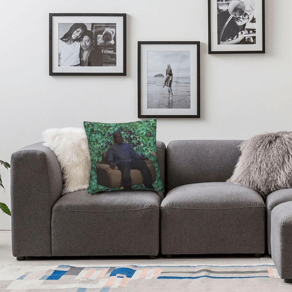 Hannibal Buress Obama Portrait Square Pillowcase Polyester Linen Velvet Printed Zip Decor Pillow Case Home Cushion Cover