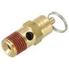 Automatic Release Brass Safety Valve for Air Compressors with Male NPT