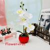 Phalaenopsis Artificial Decor With Highquality Materials For Gift And Use Event