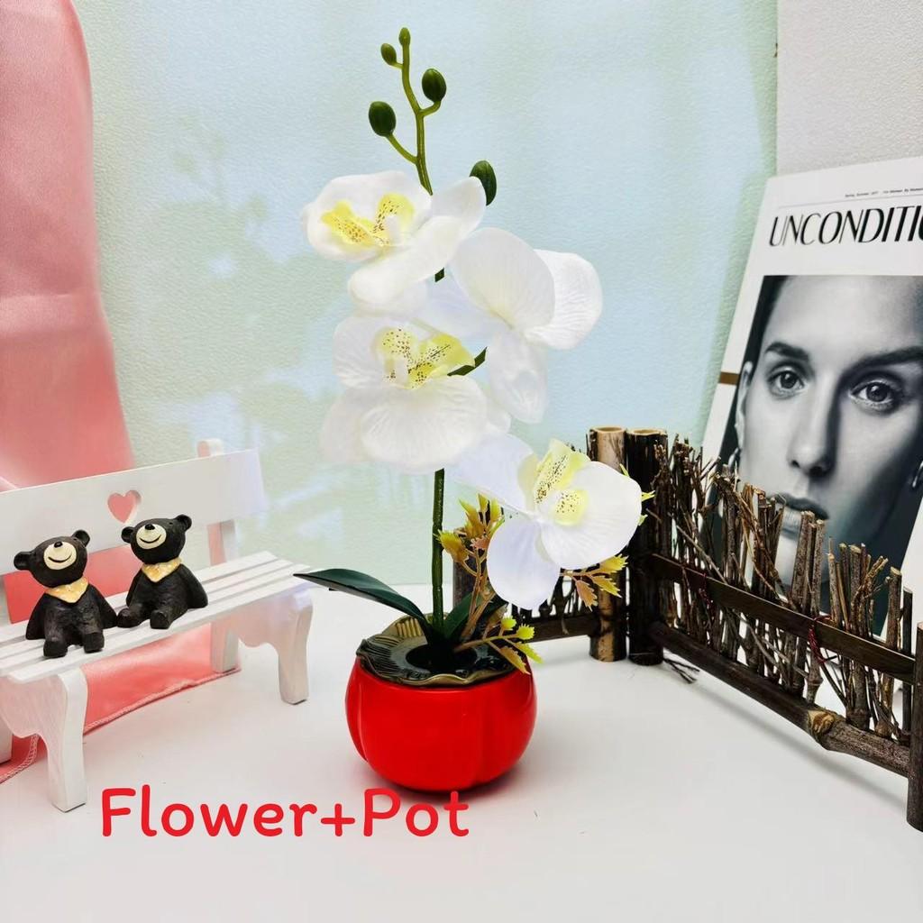 Artificial Decor Phalaenopsis With Highquality Materials For Gift And Use Event