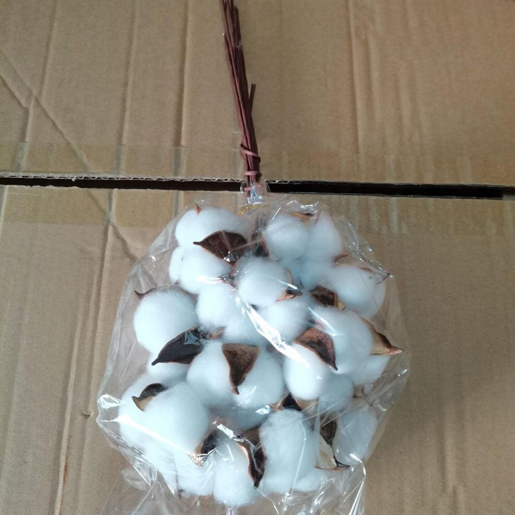 Natural Dried Cotton Flower Branches - 6 or 10 Heads, Preserved Kapok for Home Decoration & Christmas Decor