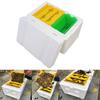 Queen Bee Mating Box Foam Queen Rearing Box Breeding Rearing Copulation Accessory Beekeeping Equipment for Beehive Bee Breeding