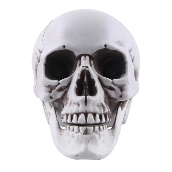 Модель человеческого черепа в натуральную величину, декор на Хэллоуин, скелет, череп, реалистичный человеческий череп для взрослых, модель кости, кладбище, открытый декор