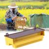 Pollen Collector Collection Box Suitable For Bee Breeding Box Removable Pollen Trap With Ventilated Pollen Tray Beekeeping Tool