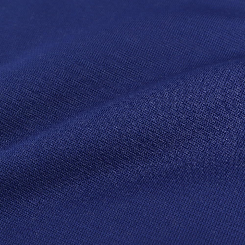 Mizuno Mizuno Pro Breath Thermo Neck Warmer Pro (MIZUNO) (Mizuno 12JYBB0116) (Royal Blue/FF/Men's)