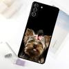 Мини-йоркширский терьер Чехол для телефона Samsung Galaxy S20 FE S21 S22 S23 S24 S25 S26 Ultra S10 S25 Plus S25 FE