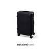 ITO PISTACHIO 28-inch Hardside Checked Luggage