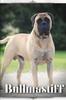 Книга Bullmastiff : Dog Breed Overview and Guide
