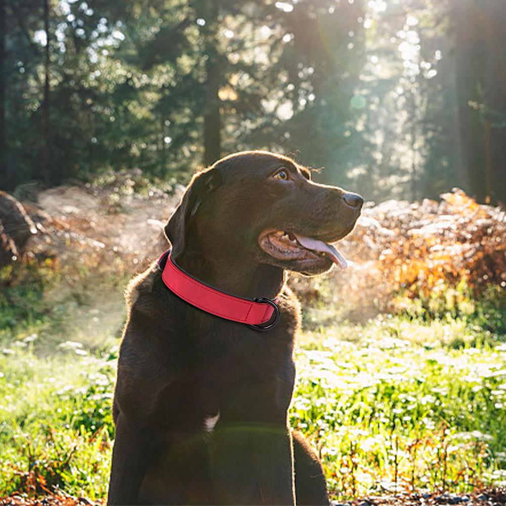 Ошейник для собак из искусственной кожи с мягкой подкладкой, регулируемое ожерелье для домашних животных для маленьких, средних и больших собак, питбуля, лабрадора, мопса
