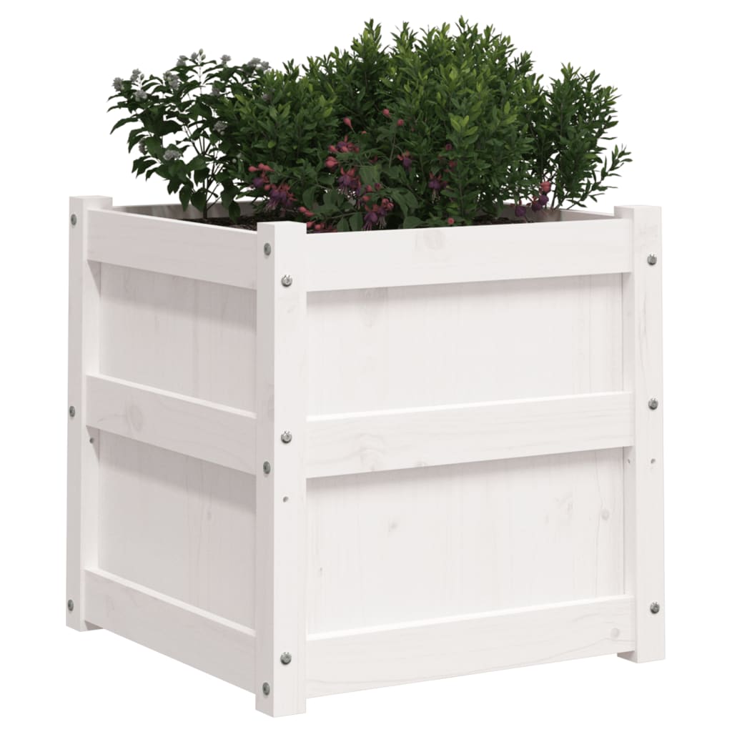 Plant Pot White 50x50x50 cm Solid Pine Wood