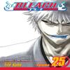 Bleach Vol. 25 by Tite Kubo Paperback Book 9781421517964