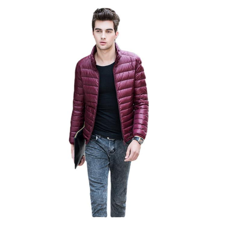 Мужская легкая пуховая куртка приталенного силуэта: Воротник-стойка, Коллекция Осень/Зима, Доступны большие размеры.