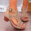 Women Strap Sexy High Heel Sandals Woman Roman Hollow Pumps Lace-up Peep Toe Sandals Casual Chunky High-heeled Sandals