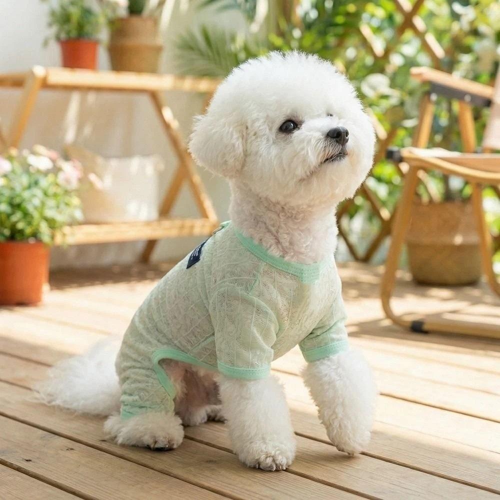 Hollow Mesh Dog Clothes Breathable Dog Outfit Pet Four-legged Wear Indoor Outdoor Use