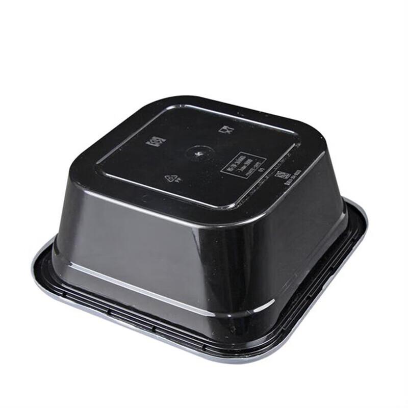 Disposable Food Containers with Lids