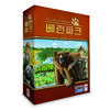 Korea Board Games Beren Park Board Game, Popular Korean Game