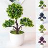 Artificial Simulated Guest-Greeting Pine Plant Potted Plant Green Plant Bonsai Computer Desk Landscape Decoration Potted Plant