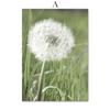 Green Mountain Dandelion Bike Grass Leaf Wall Art Canvas Painting Nordic Posters And Prints Wall Pictures For Living Room Decor