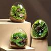 Beautiful Egg-shaped Glass Bottles Exquisite Micro Landscape Moss Bottle  Garden