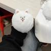 1Pc Kawaii Samoyed Plush Doll Squeak Toy Stuffed Animal Doll Keychain Plushies Toys Key Holder Bag Pendant Car Key Accessories
