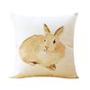 Premium Quality Rabbit Pillowcase Linen Sofa Throw Pillow Cover For Charming Home Decor