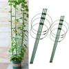 Flower Stand Rings Tomato Cage Decorative Trellis Bracket Potted Support Frame Climbing Vine Rack