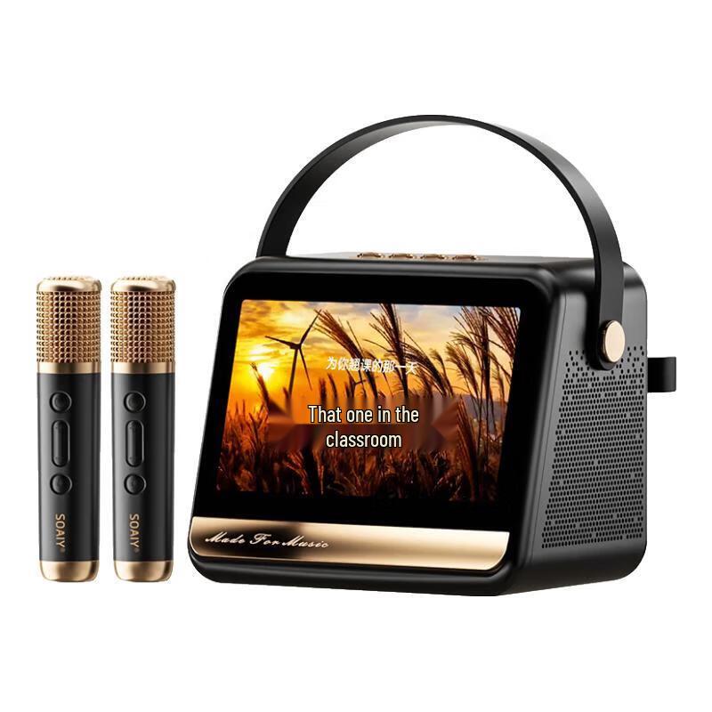 KTV Караоке Микрофон Динамик Soaiy GC520Pro