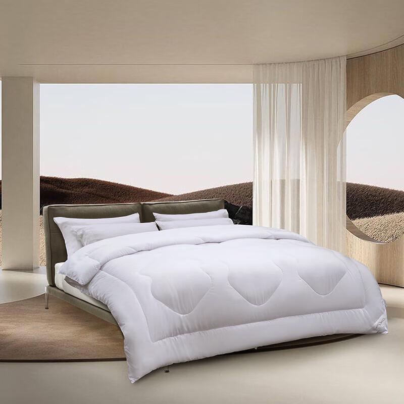 Mercury Home Du Sang Antibacterial All-Season Duvet