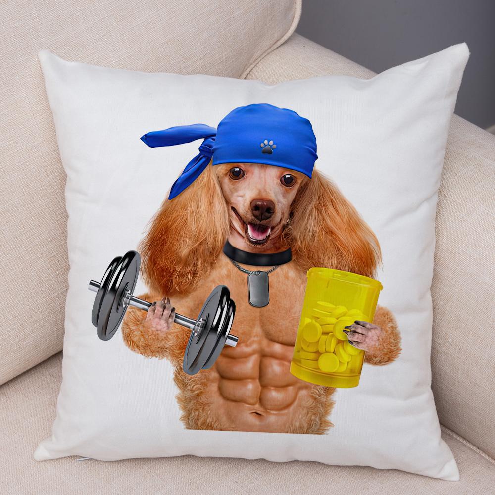 Funny Cat Dog Cushion Cover Fitness Animal Dumbbell Print Soft Fabric Living Room Sofa Home Decor Pillow Case