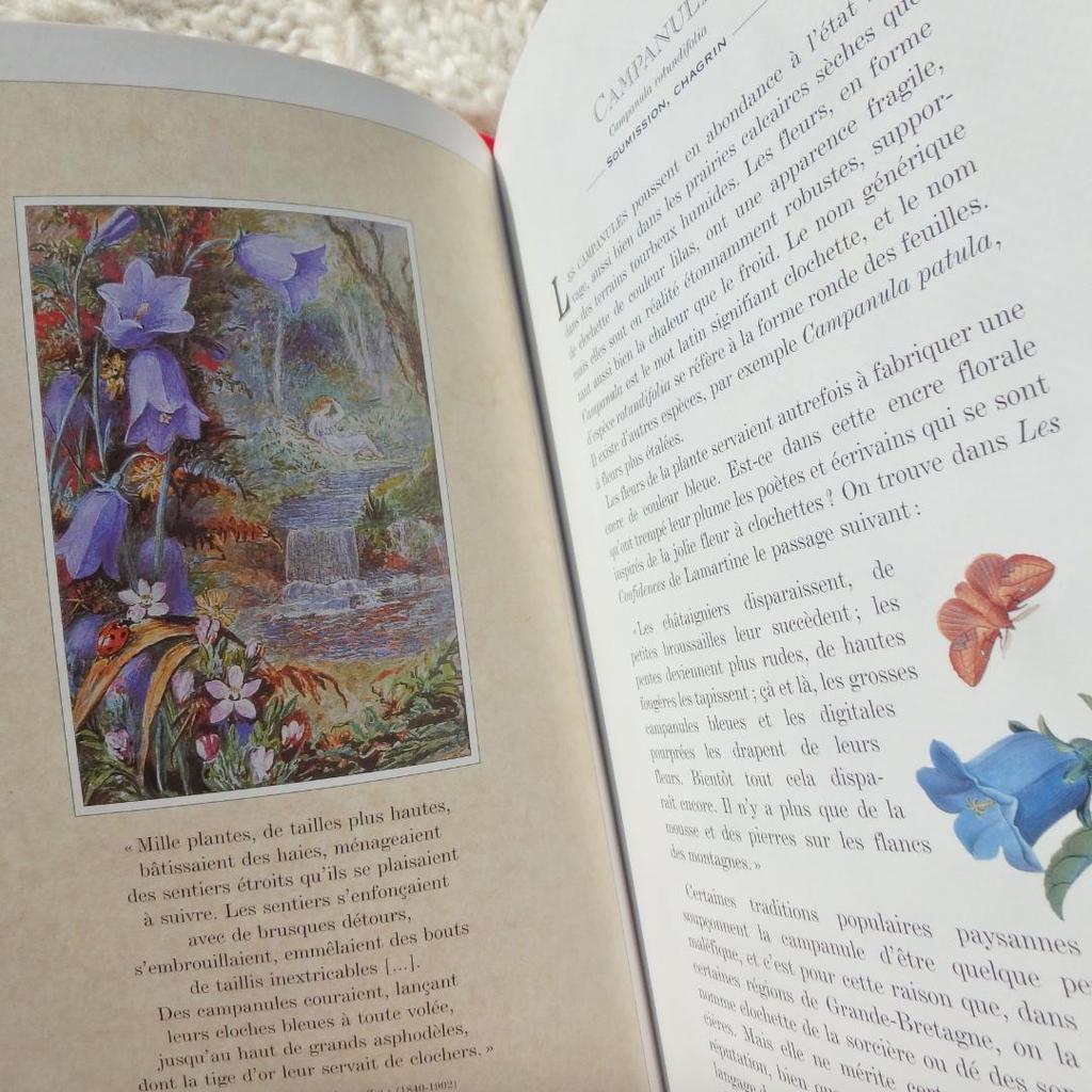 [Б/У] Язык Диких Цветов: Язык цветов на французском