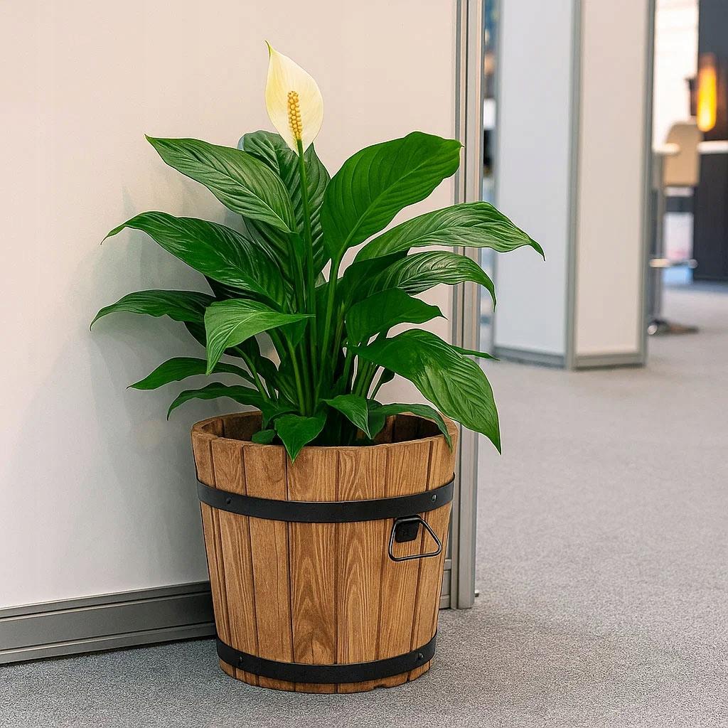Wooden flowerpot 50XH45 wide K. OAK