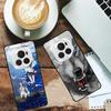 Для Honor Magic6 Pro 5G Чехол с рисунком Закаленное стекло Чехол для телефона