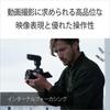 SONY SELP1020G Зум E PZ F4 G Оригинальный объектив для цифровых зеркальных камер Широкоугольный объектив, Объектив APS-C 10-20 мм, [Крепление E]
