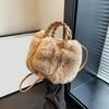 Autumn and Winter Plush Shoulder Crossbody Bag Women's Fashion Pleated Warm Faux Fur Hobos Bag Sweet Small Handbag