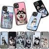 Cover Lovely Husky Dog Funny for Motorola Moto G04 G13 G14 G22 G23 G20 G32 G34 G35 G64 G82 G84 G53 G60 G72 E14 E15 E13 Case