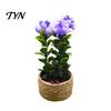 Decorative Plastic Plants Mini Artificial with Vase, Small Fake in Handwoven Seagrass Flowers Baskets, Realistic Faux Floral Arrangement for