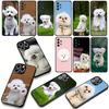 Phone Cover Bichon Frise Dog Cute Pet Casing for OPPO A54 A40 A60 A80 A18 A16 A17 A38 A78 A79 A57 A55 A96 A15 A12 Case
