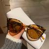 Luxury Cat Eye Sunglasses Women Men Retro Mirror Lens Stylish Sun Glasses Female Male Personality Colors Oculos De Sol Gafas