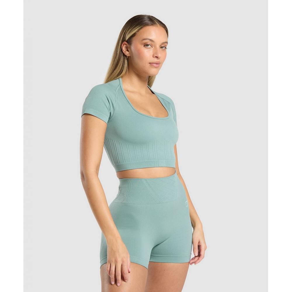 Gymshark Корсет бесшовный укороченный топ Celeste Blue B3c4w Udbp