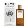 Loewe Pour Homme Eau De Toilette 100ml