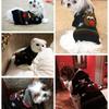 Red Nose Sweater Pet Holiday Costume Cat Sweater Dog Sweater Winter Costume Fall/Winter Dog Costume (Red Nose)