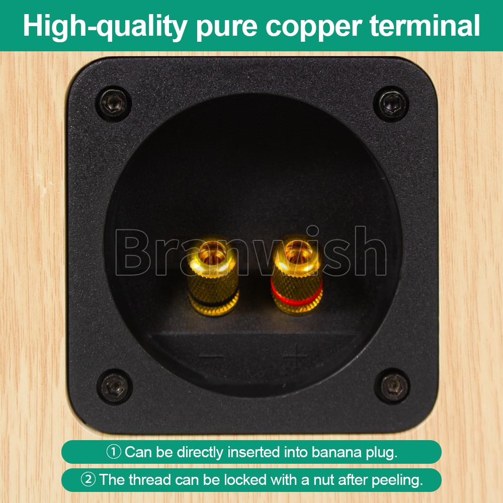 4-дюймовый 25-50 Вт полнодиапазонный динамик 4/8 Ом динамик из березовой древесины Q401 Fever пассивный полочный динамик пара корпусов 84 Гц-20 кГц