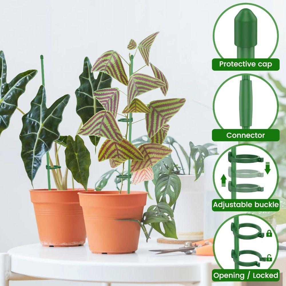 10Pcs Adjustable Plant Climbing Rack Creative Plant Stand Plant Support Frame  Balcony