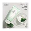 ROUND AROUND Green Tea Pure Cleansing Foam (250ml, 8.45 Fl.oz)