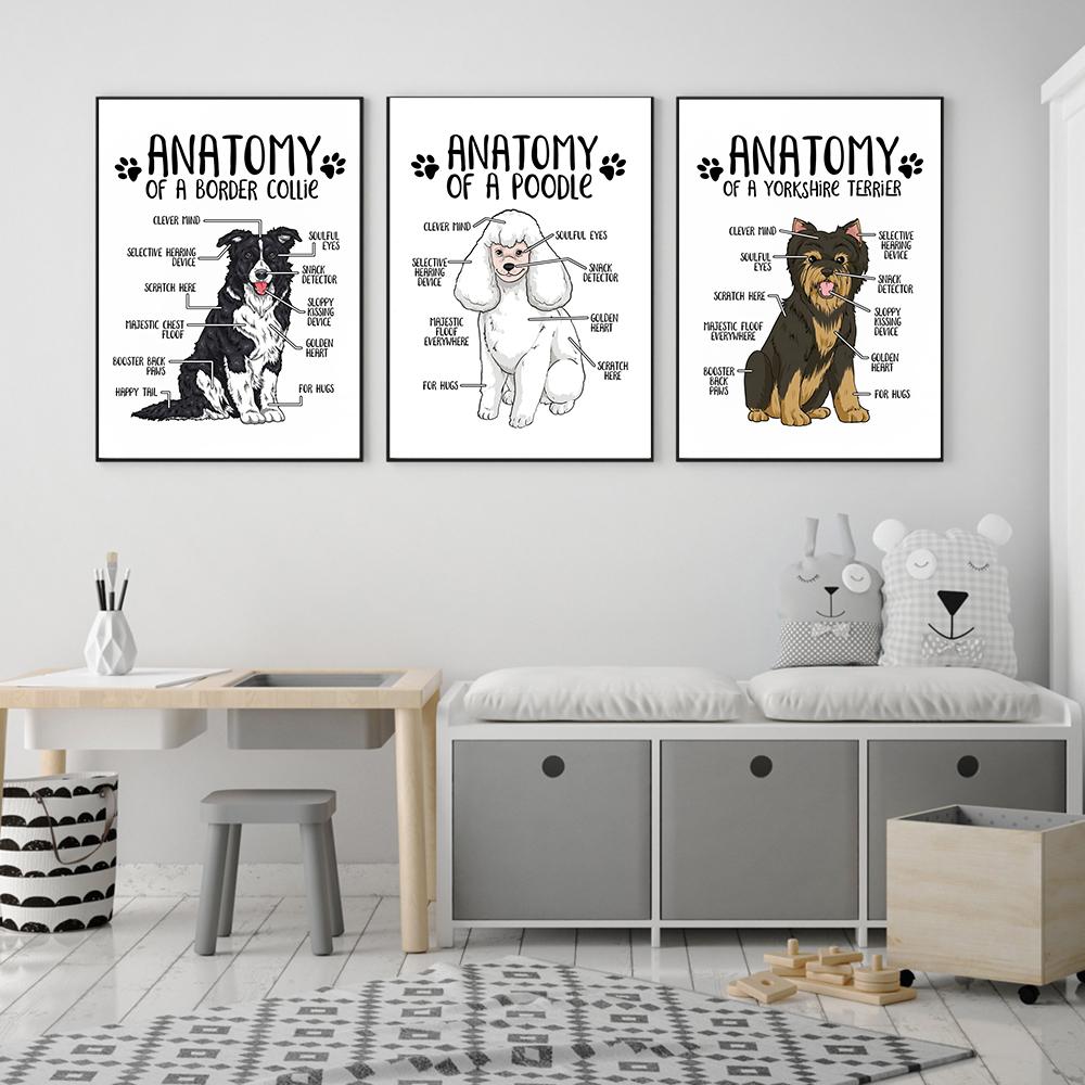 Холст с анатомией животных, постер, бордер-колли, йоркширский терьер, принт, современный зоомагазин, стена больницы
