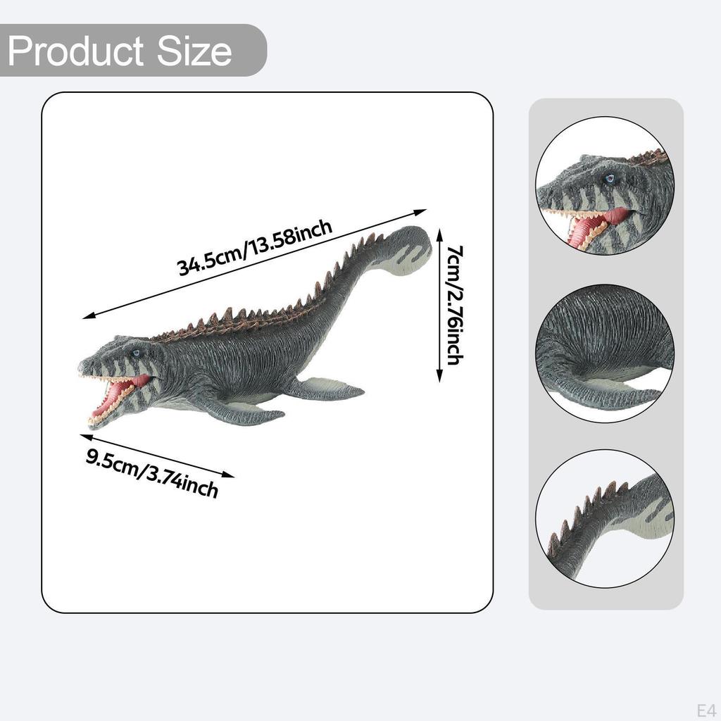 Dino Model Display for Home Cabinet Educational Toy Desktop Use