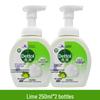 Dettol Foaming Hand Wash Twin Pack