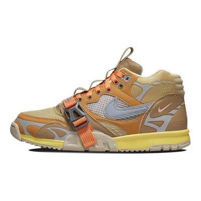 Air Trainer 1 'Coriander' DH7338-300