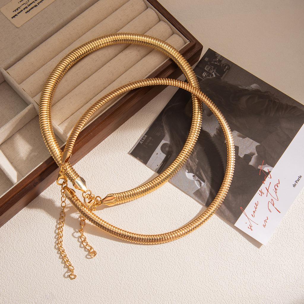 Золотая цепочка «Змеиная кость», толстая цепочка-ожерелье, простое и изысканное, преувеличенное плетение, модная персонализированная цепочка для ключицы