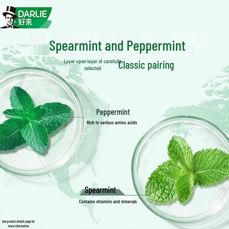 Darlie Double Mint Fluoride Toothpaste Family Pack